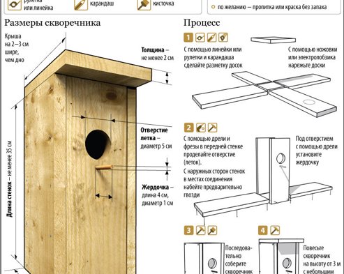 ИНФОГРАФИКА: Как сделать скворечник своими руками