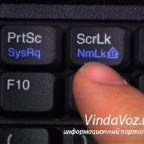 How to disable NumLock on a laptop or what to do if commands are executed when you press letters and numbers. How to cancel automatic disabling of numlock