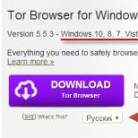 What is the Tor browser and what is it for?